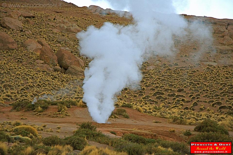 CILE - Geyser del Tatio - 05.jpg